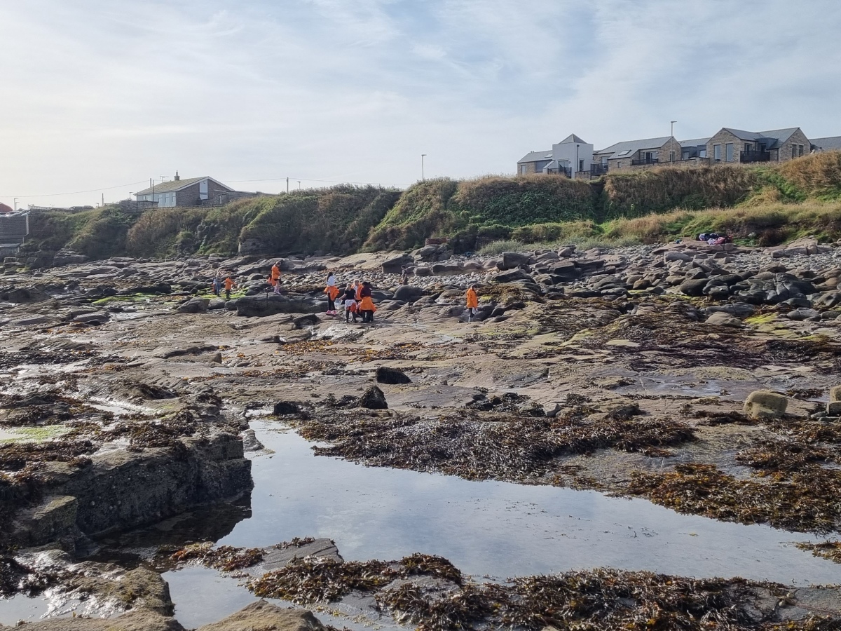 Rockpooling in Bamburgh